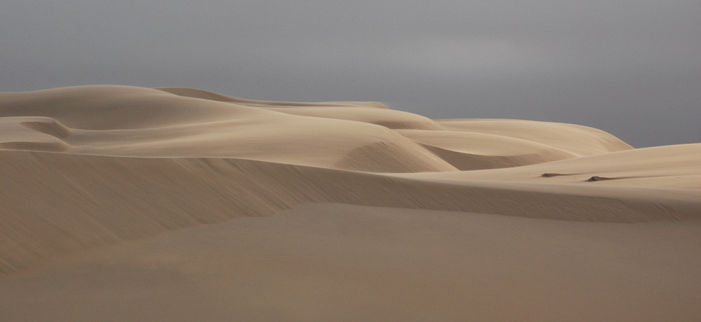 Skeleton Coast