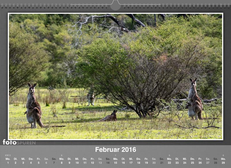 Februar