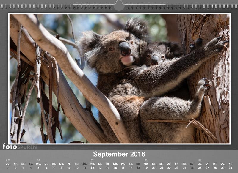 September