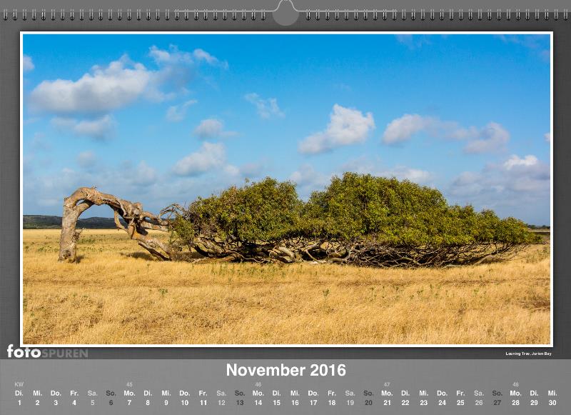 November