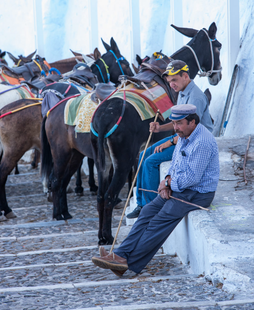 Maultiertreiber auf Santorini w&auml;hrend einer kurzen Rast