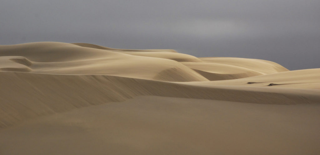 Sanddünen der Skeleton Coast in Namibia im sanften Abendlicht