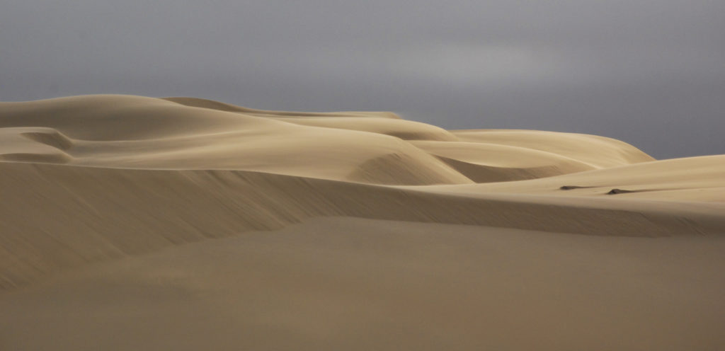 Sanddünen an der Skeleton Coast, Namibia Sanddünen der Skeleton Coast in Namibia im sanften Abendlicht