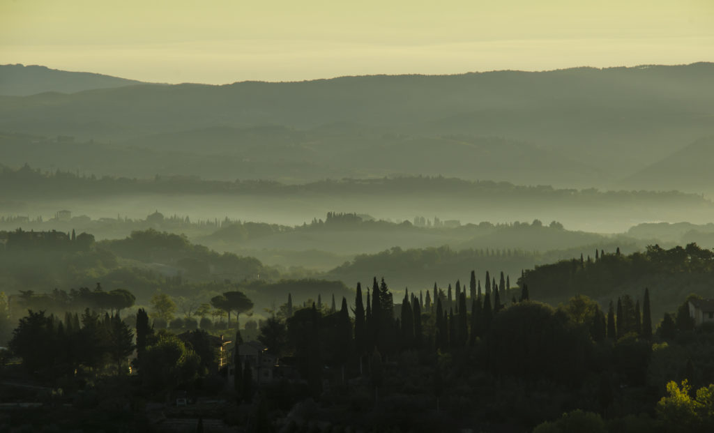 Zypressenhaine in der Toscana kurz vor Sonnenaufgang