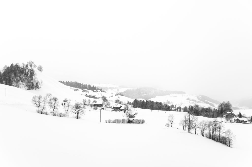 Winterlandschaft wie ein Holzschnitt in Schwarz und Weiss