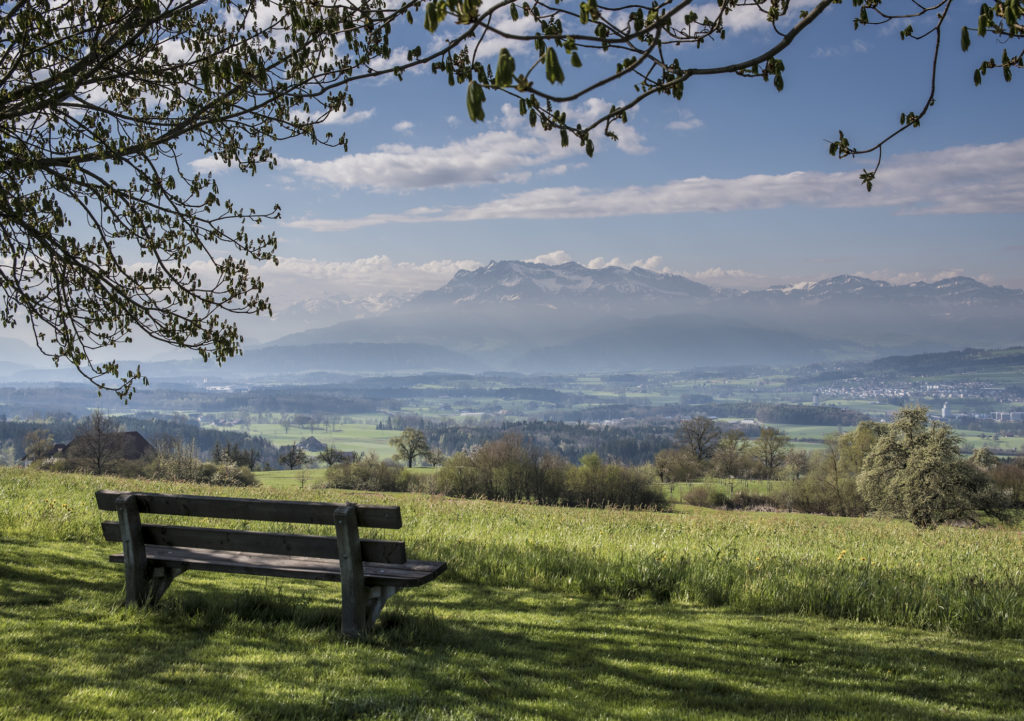 Bänkli mit Aussicht Sitzbank unter einem Baum mit weitem Ausblick auf den Pilatus und das Seetal