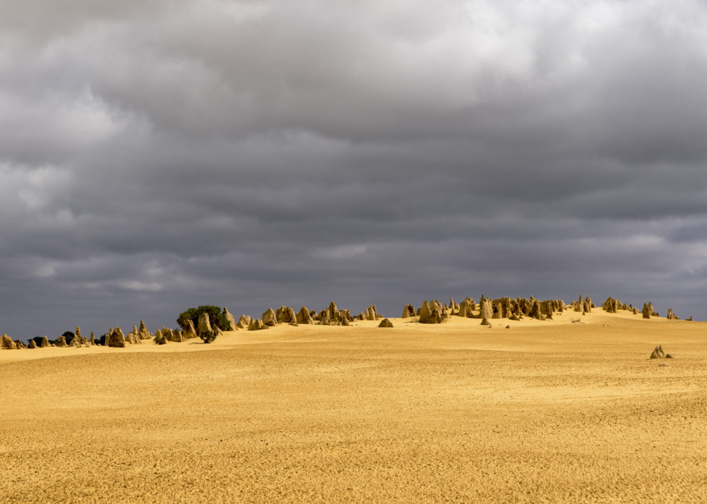 gelber Sand der Pinnacles im Nambung National Park in Western Australia