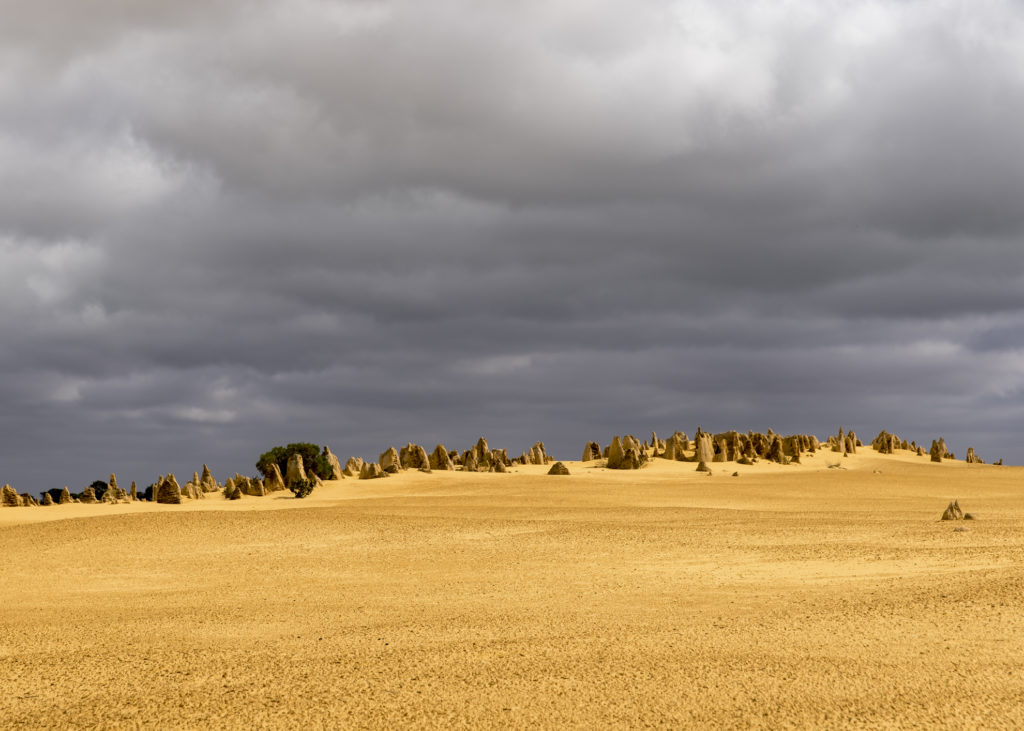 Pinnacles, Nambung National Park gelber Sand der Pinnacles im Nambung National Park in Western Australia