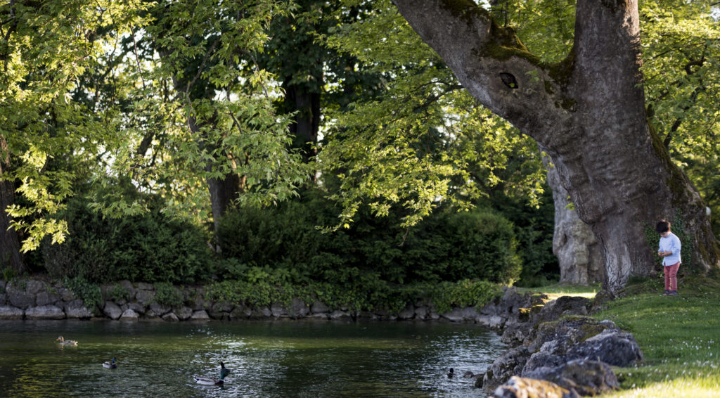 Villette Park kleiner Junge am Seeufer unter einem gewaltigen Laubbaum im Abendlicht
