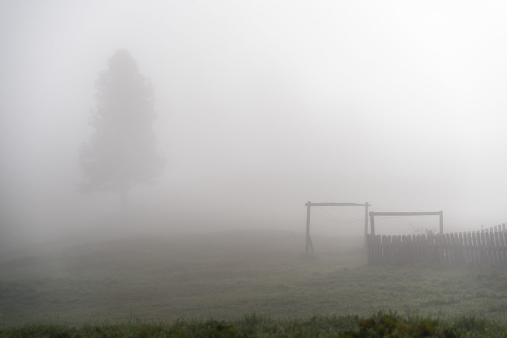 Dichter Nebel hüllt die Plätzwiese in Stille und ein sanftes Licht