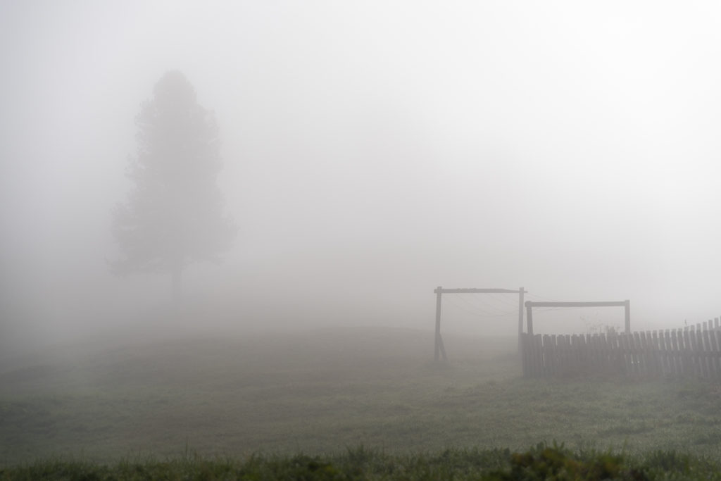 Dichter Nebel h&uuml;llt die Pl&auml;tzwiese in Stille und ein sanftes Licht