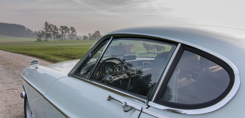 Volvo P1800 S - interessierte Tiere