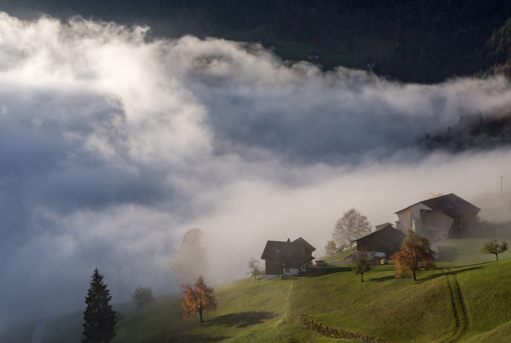 vom Nebel eingehüllt die letzten Nebelschwaden hüllen die Häuser in Watte