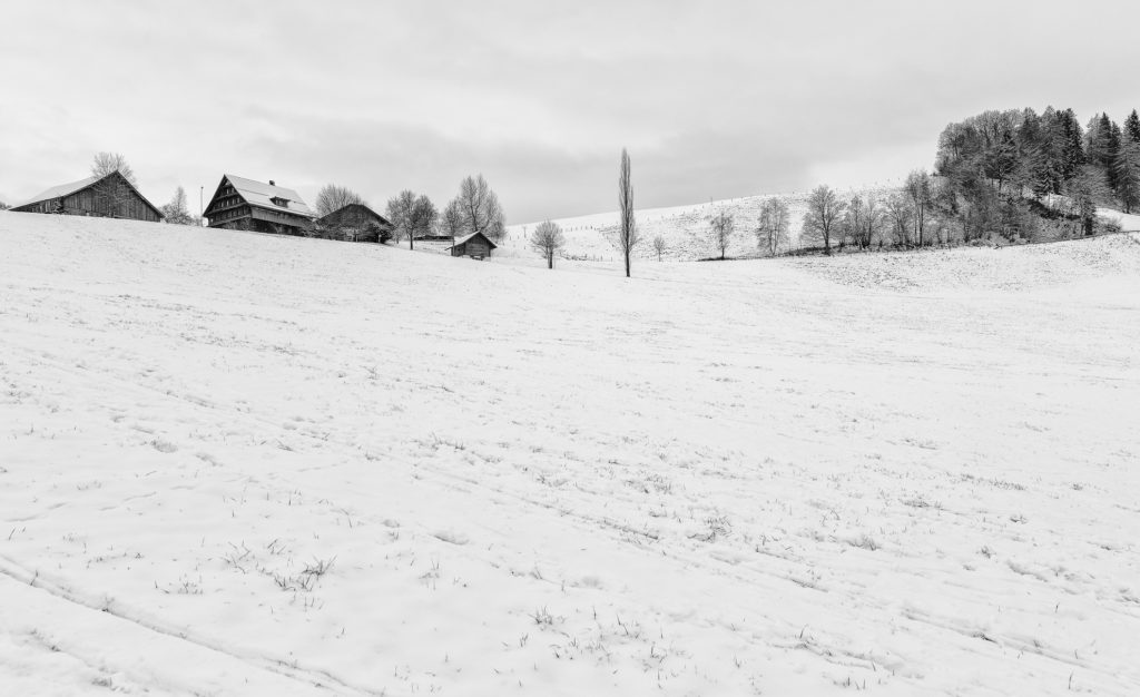 schwarz-weiss Landschaft, holzschnittartig, Häuser und Bäume im Schnee