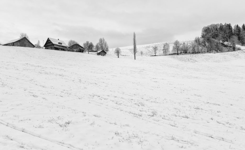 schwarz-weiss Landschaft, holzschnittartig, H&auml;user und B&auml;ume im Schnee