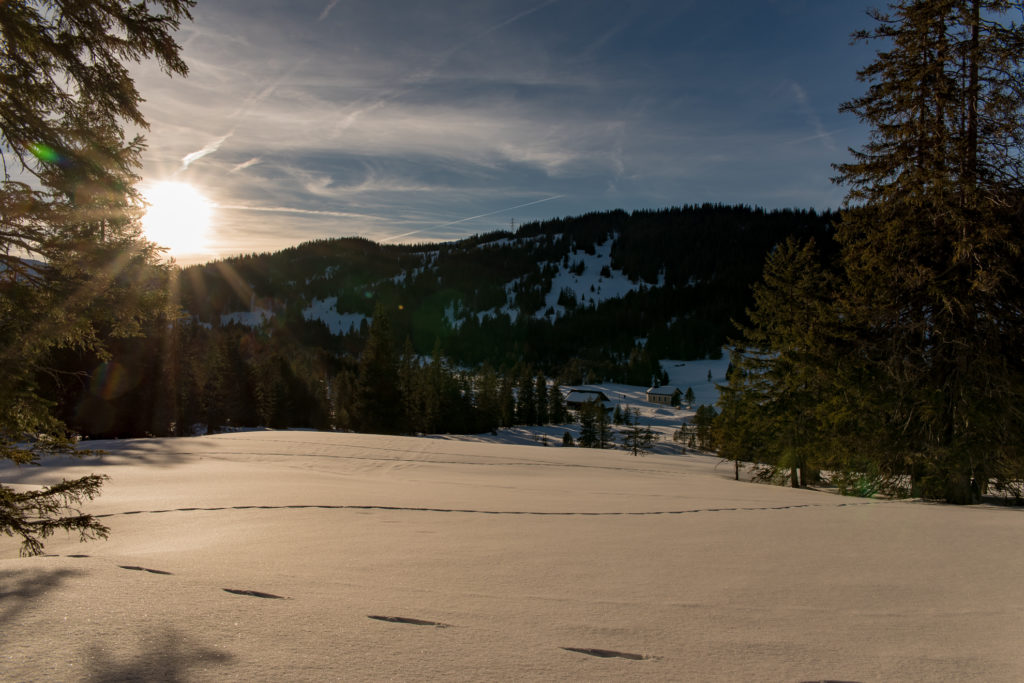 Winterlandschaft, Tiefschnee, Sonnenuntergang, rotes Abendlicht