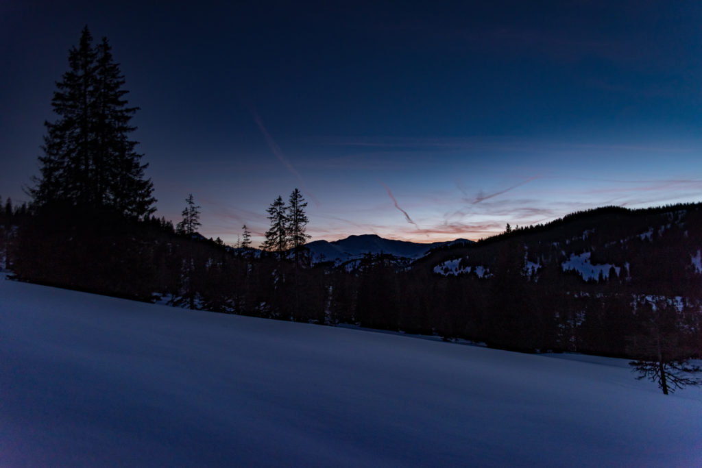 tiefverschneite Landschaft mit Fichten in der blauen Stunde