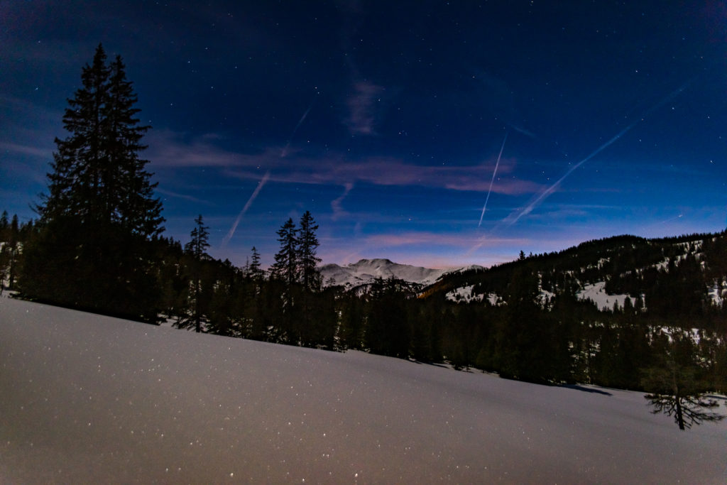 Schneelandschaft im Mondlicht und Sternenhimmel