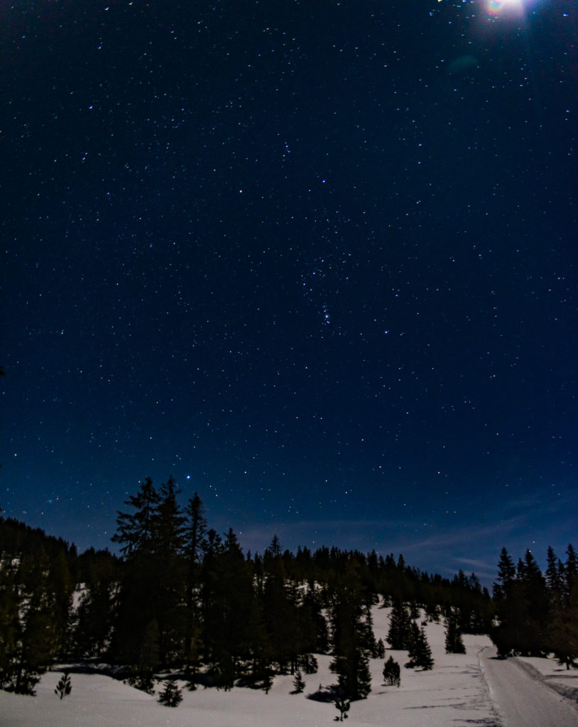 vom Mondlicht beschienene Schneelandschaft und funkelnder Sternenhimmel