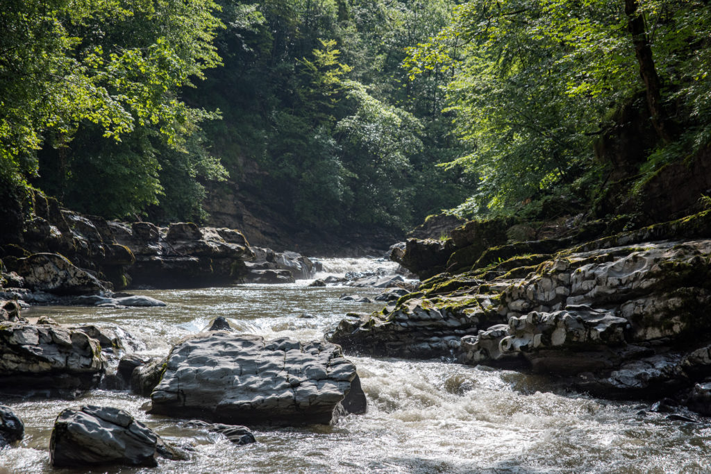 Flusslandschaft im Muotathal, schäumender Fluss mit Felsen im Wald