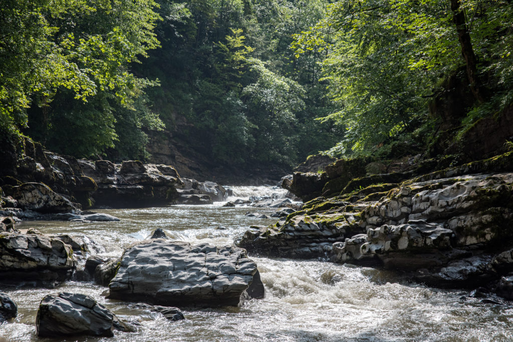 an der Muota Flusslandschaft im Muotathal, schäumender Fluss mit Felsen im Wald