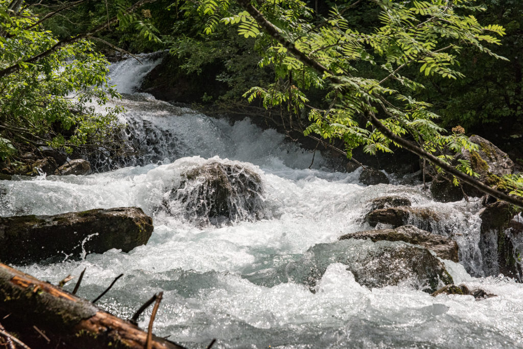 quer durch den Wald tobender, schäumender Flusslauf quer durch den Wald über Steinstufen