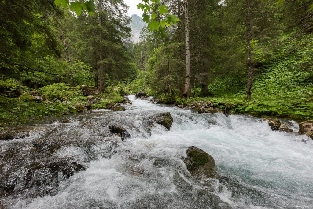 schäumender Flusslauf in Waldlandschaft mit Sicht auf die umliegenden Berggipfel