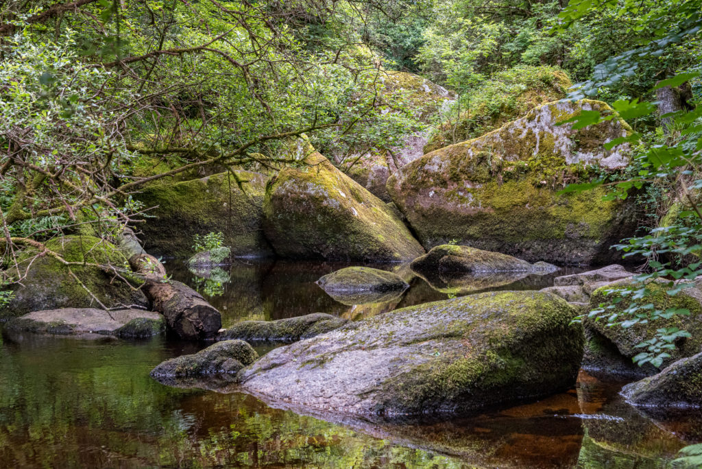 Breizh, Bretagne, Huelgoat, La Mare au Fée, Flusslauf im dichten grünen Wald mit moosüberwachsenen Steinblöcken