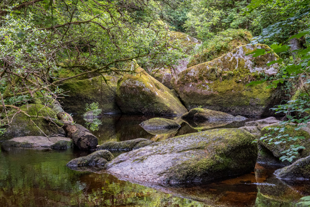 Breizh, Bretagne, Huelgoat, La Mare au F&eacute;e, Flusslauf im dichten gr&uuml;nen Wald mit moos&uuml;berwachsenen Steinbl&ouml;cken
