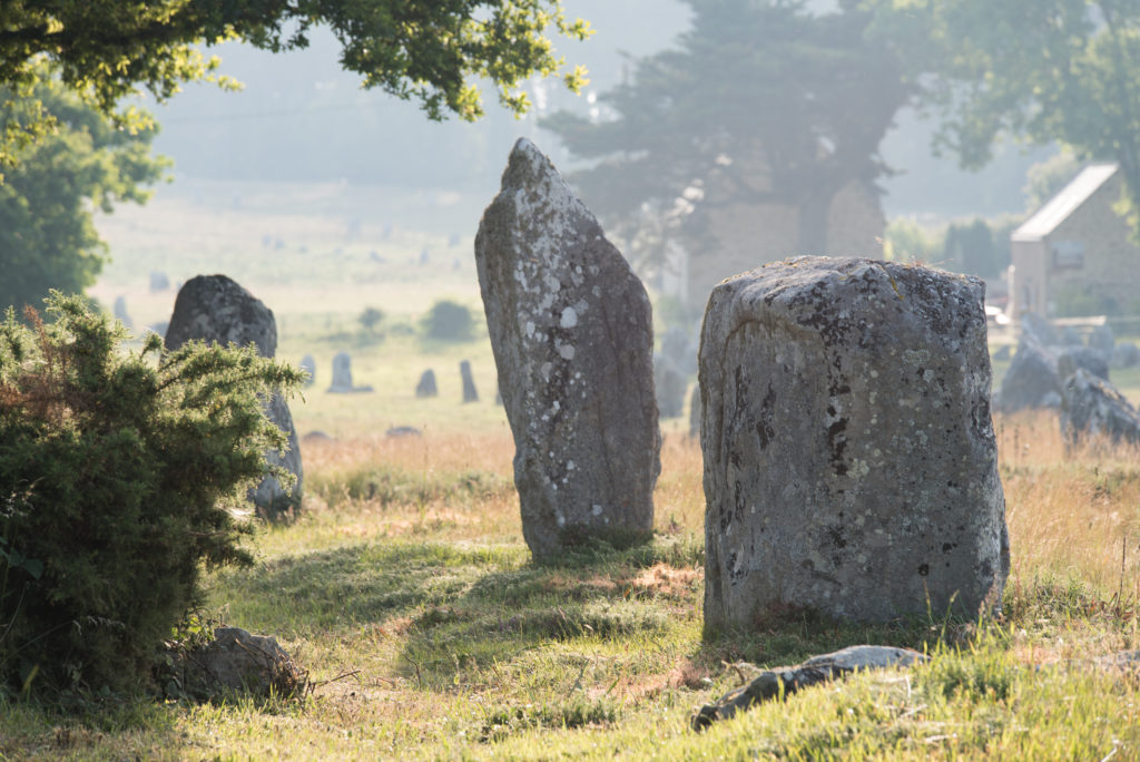 Breizh, Bretagne, Carnac, Menhire im morgendlichen Gegenlicht