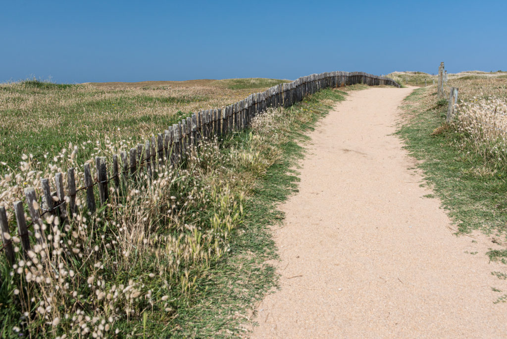 Breizh, Bretagne, C&ocirc;te Sauvage, Quiberon, Sandweg ges&auml;umt mit Strandhafer