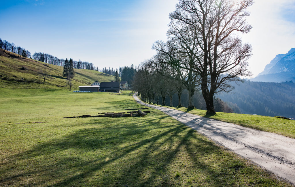 Gegenlicht Aufnahme Fr&uuml;hling kahle B&auml;ume Schneeberge