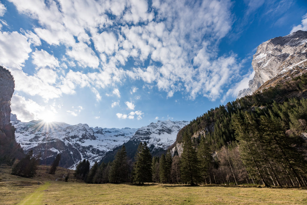 Bergtal mit sonnenbeschienener Wiese, Bergwald und verschneiten Berggipfeln