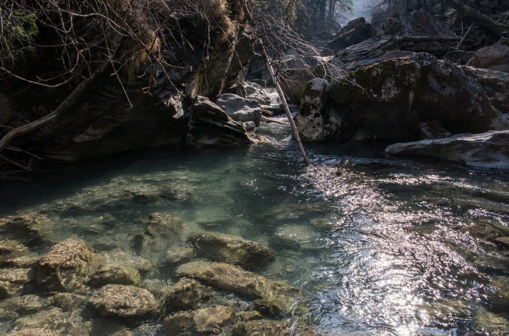 Wildbach im morgendlichen Gegenlicht mit umgest&uuml;rzten B&auml;umen