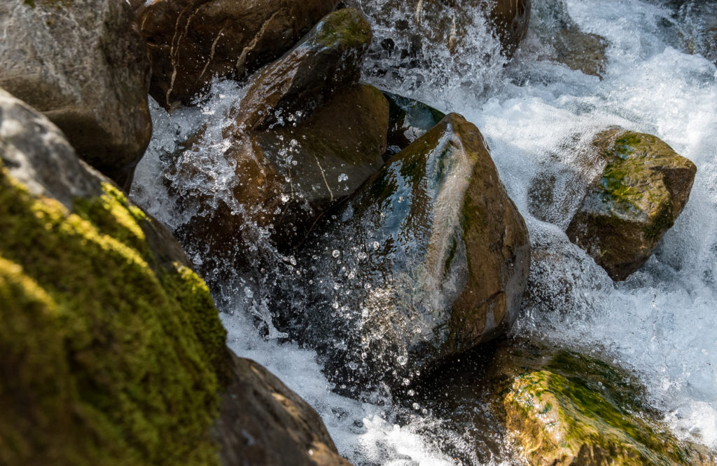 schäumender Wildbach über nasse, bemooste Steine sprühend