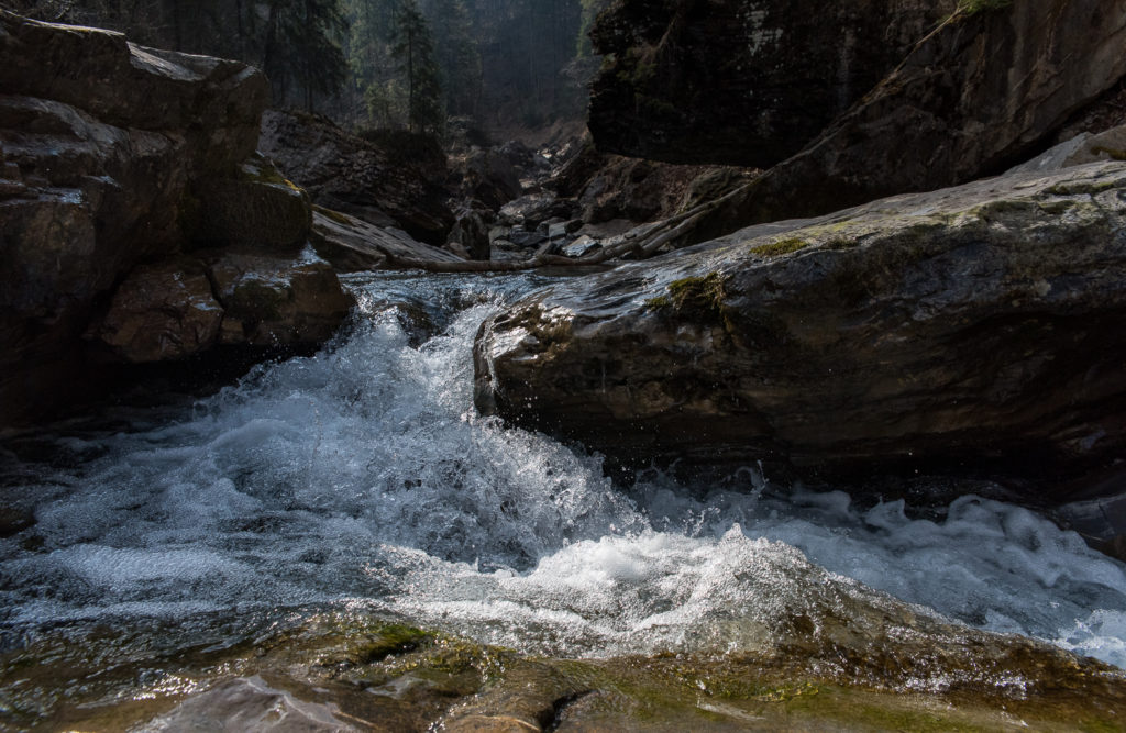 sch&auml;umender Wildbach in einer Schlucht, Morgenlicht