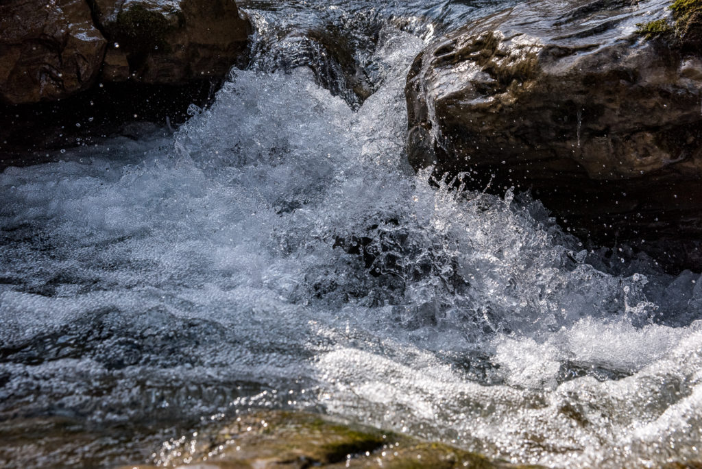 sch&auml;umender Wildbach mit nassen Steinbl&ouml;cken