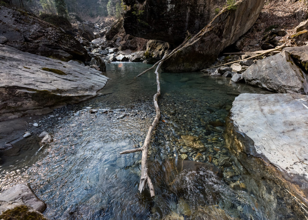 Wildbach, Weitwinkelaufnahme, umgest&uuml;rzte B&auml;ume, Morgenlicht