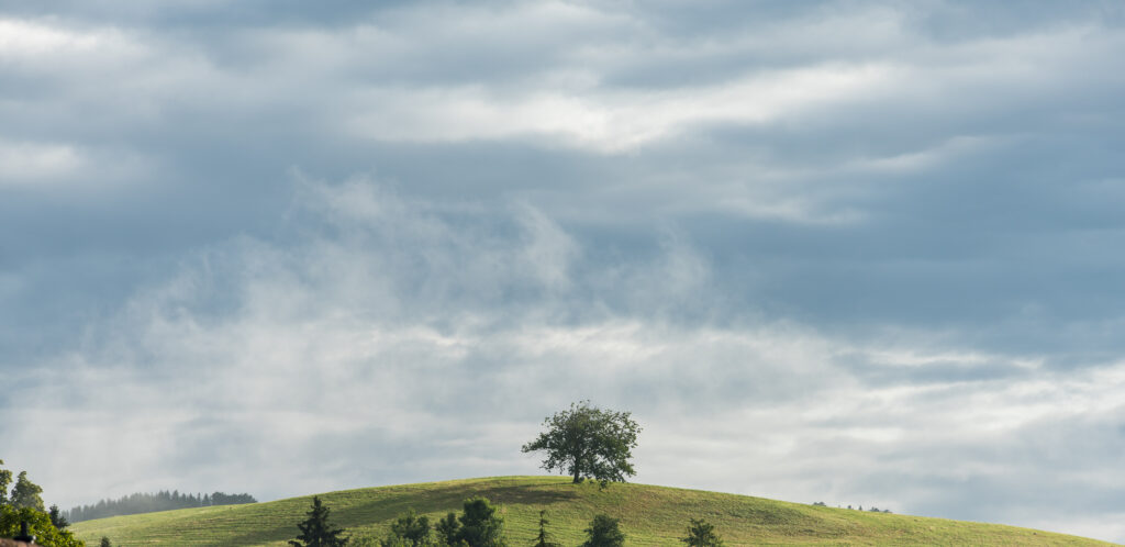 einsamer Baum auf einer Hügelkuppe, blauer Himmel mit Schleierwolken