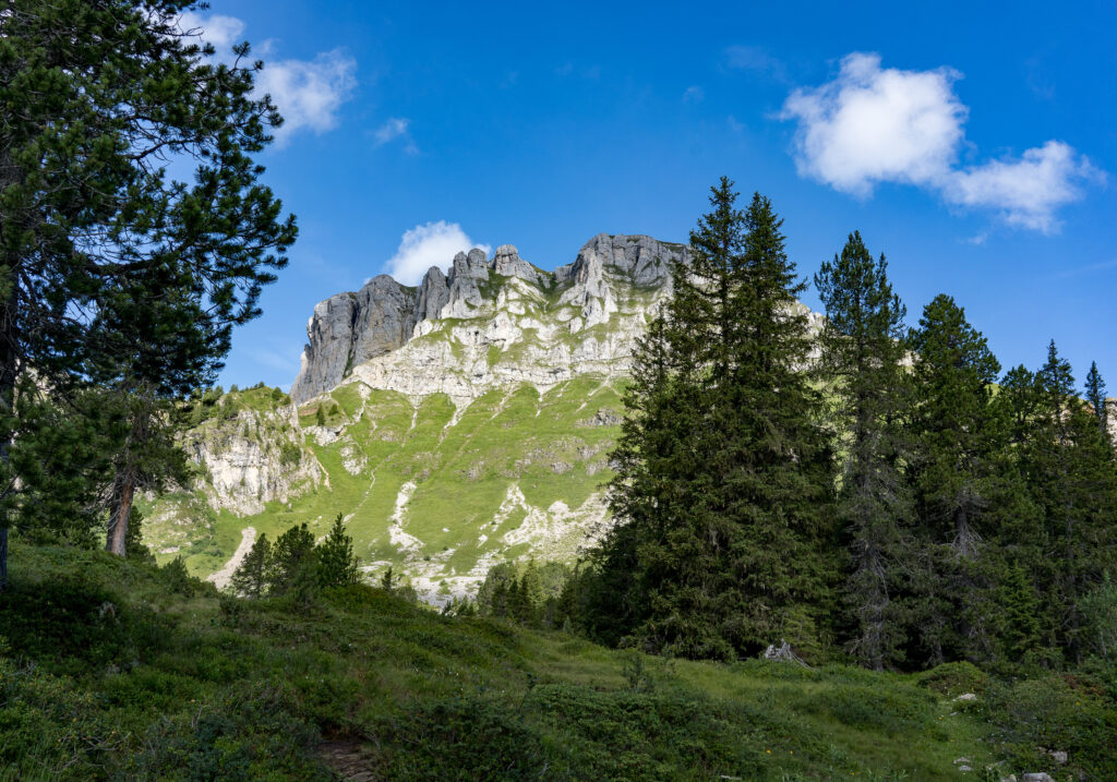felsiger Berggipfel umrahmt von Nadelb&auml;umen und Quellwolken