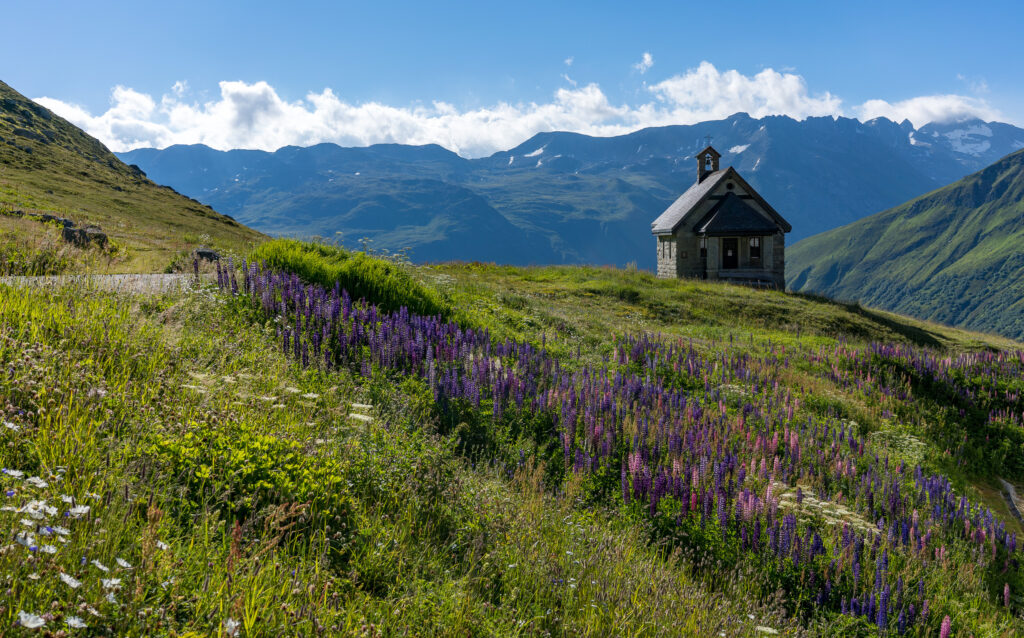 kleine Bergkapelle inmitten bl&uuml;hender Blumen, im Hintergrund schneebedeckte Berge