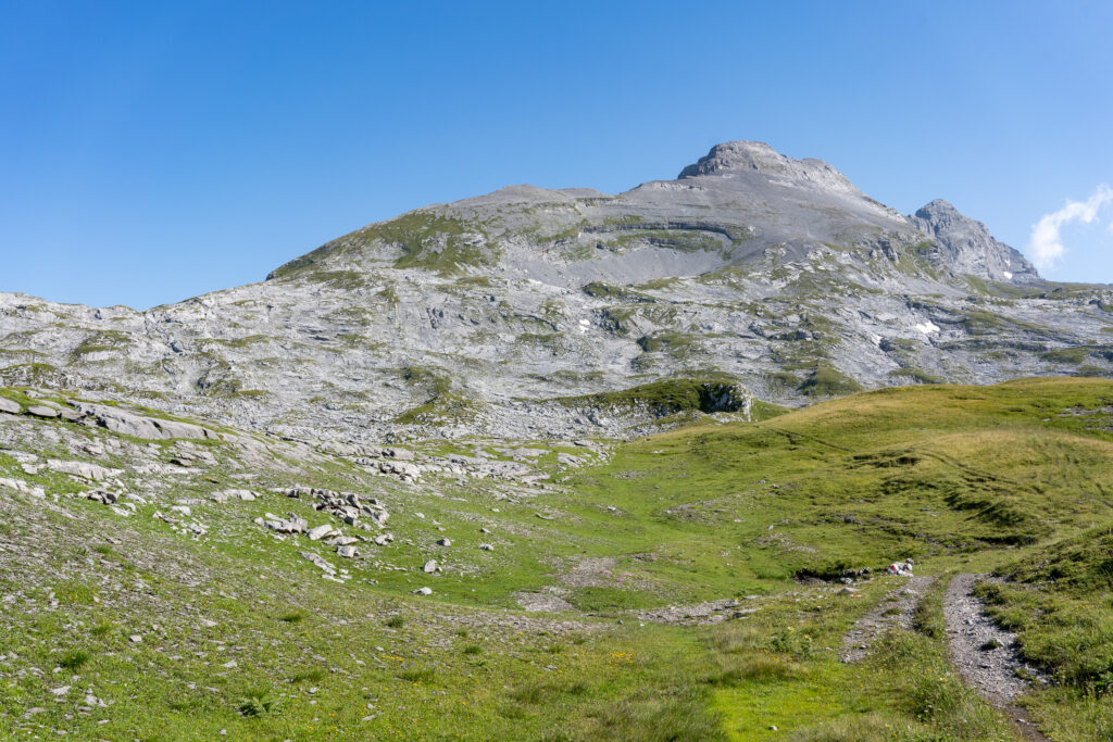karge Felslandschaft mit hochalpinen Weiden