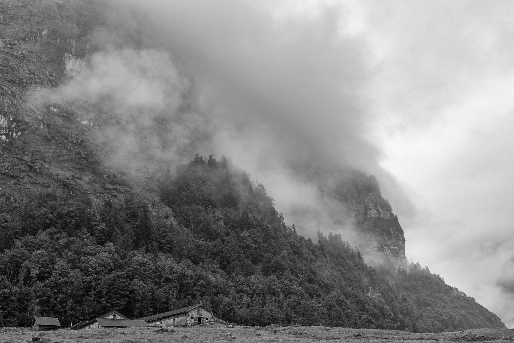 fotoSPUREN | neue Spuren - die neuesten Fotografien meines Schaffens
