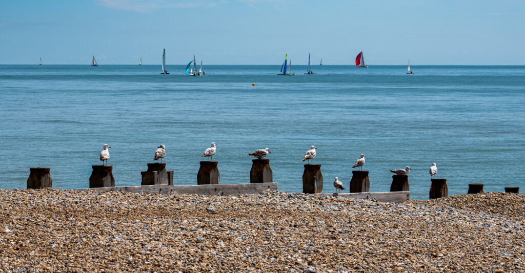 Hastings