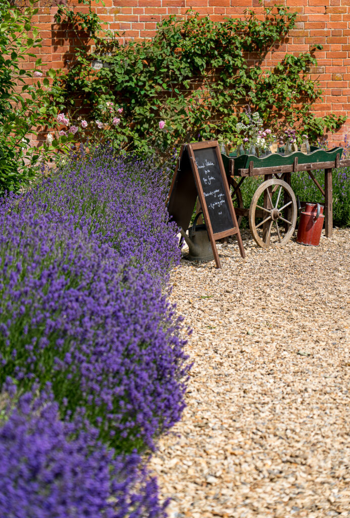 Mottisfont Garden