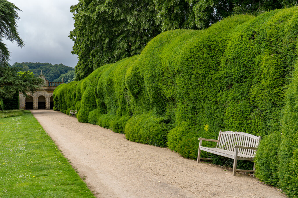 Wobbly Hedges @ Montacute House