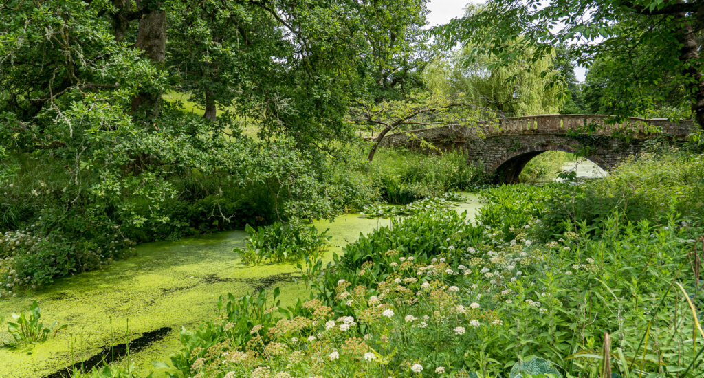 Minterne Gardens