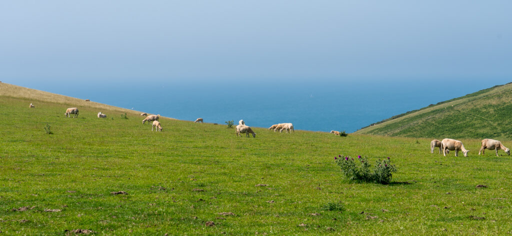 Start Point