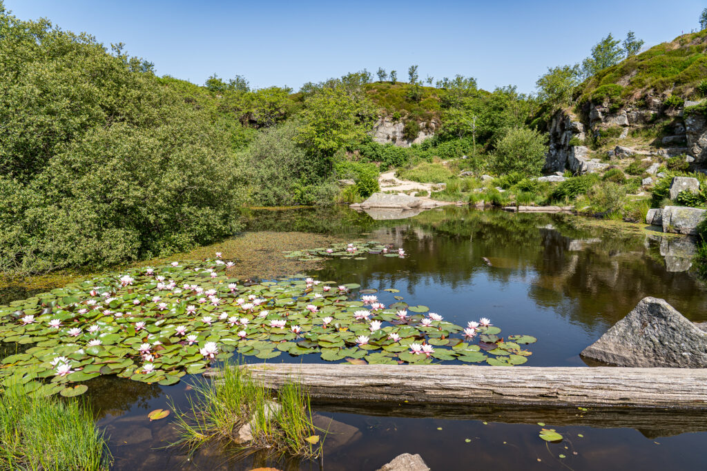 Haytor Quarry, Dartmoor