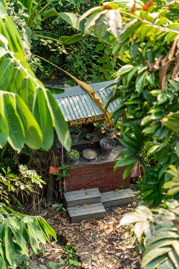 Eden Project